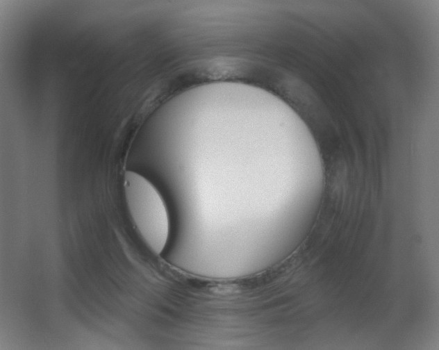 X0000062850214200601130930