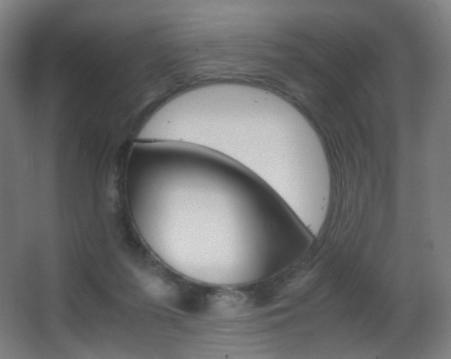 X0000062850215200601130930