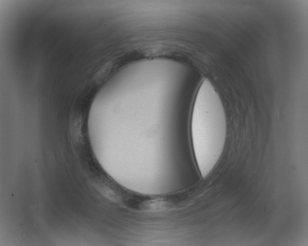 X0000062850219200601130929