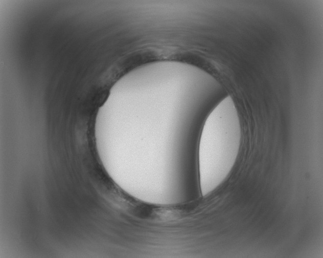 X0000062850221200601130929