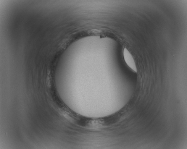 X0000062850223200601130929