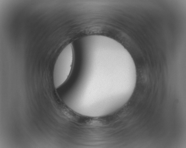 X0000062850224200601130929