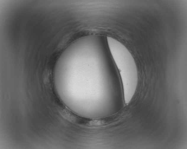 X0000062850225200601130929