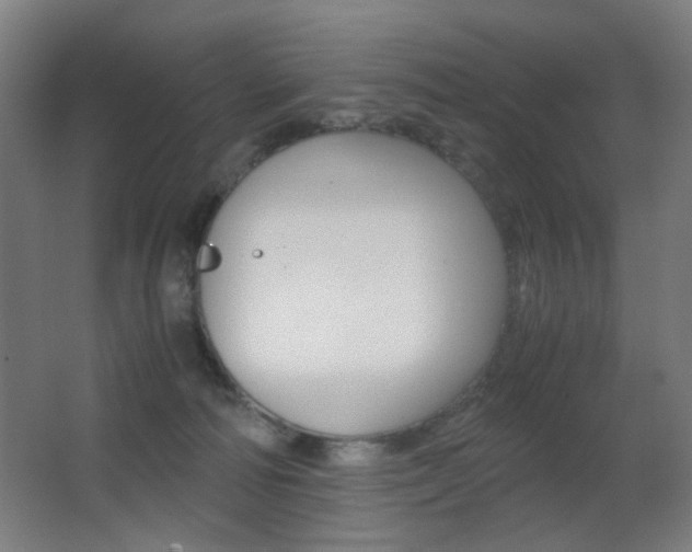 X0000062850226200601130929