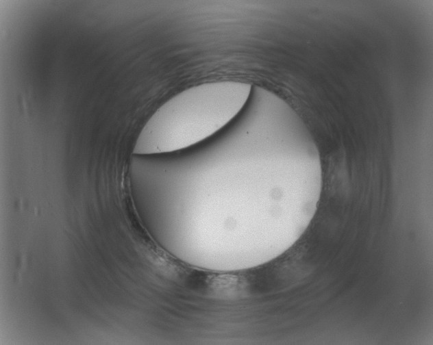 X0000062850230200601130929