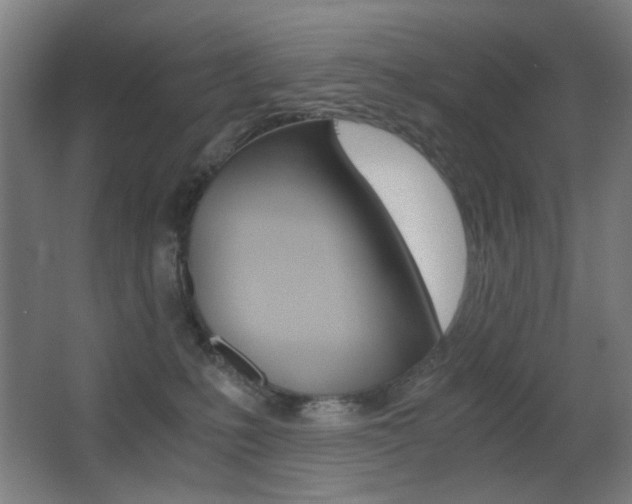 X0000062850231200601130929