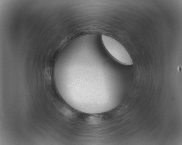 X0000062850232200601130929