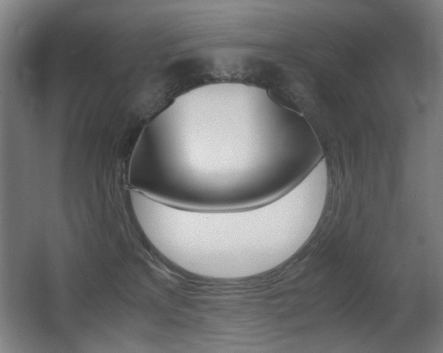 X0000062850233200601130929