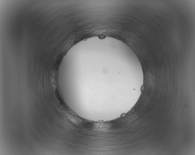 X0000062850234200601130929