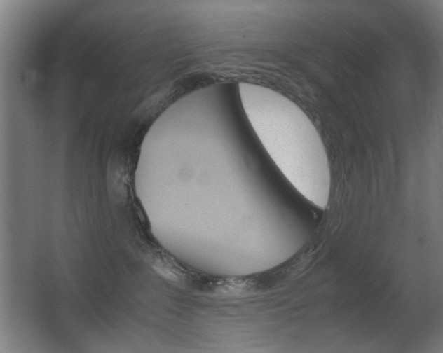 X0000062850235200601130929