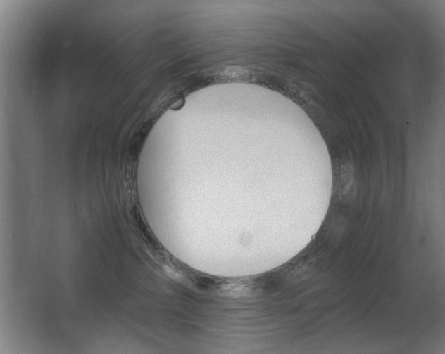 X0000062850236200601130929