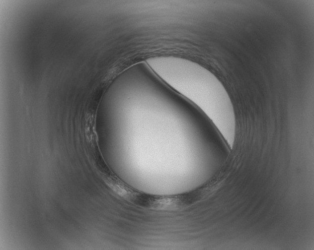 X0000062850237200601130929