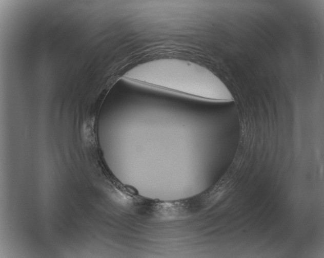 X0000062850239200601130929