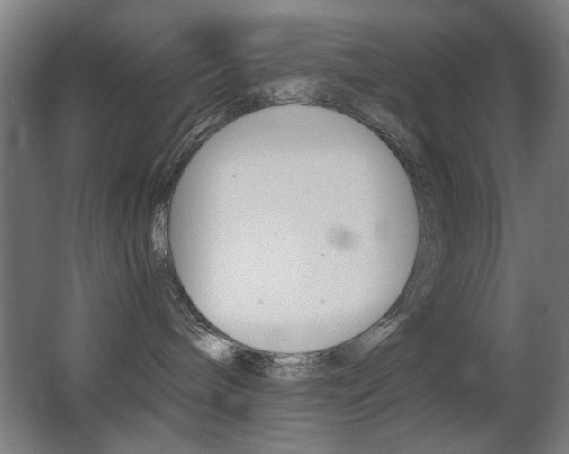 X0000062850240200601130929