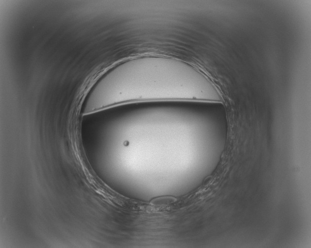 X0000062850241200601130928