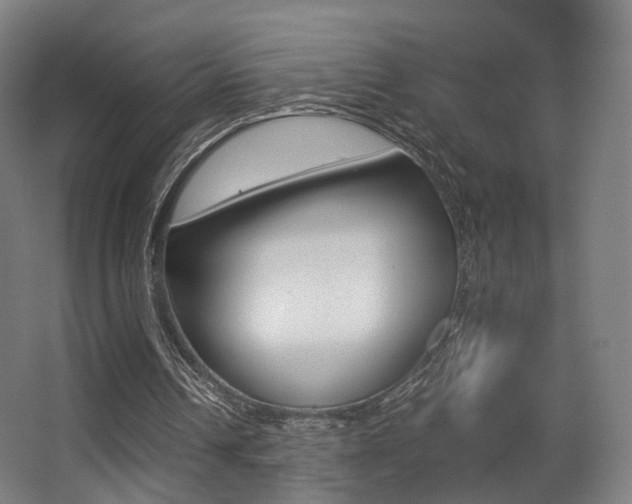 X0000062850242200601130928