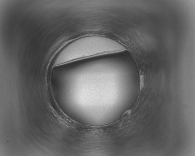 X0000062850243200601130928