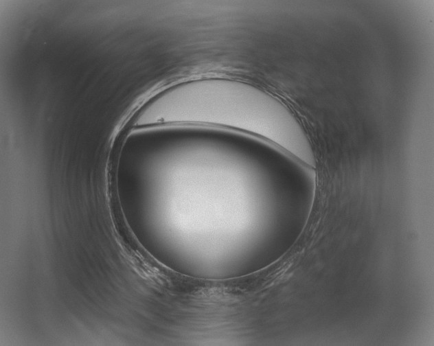 X0000062850244200601130928