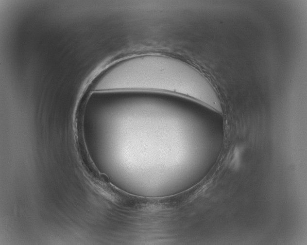 X0000062850246200601130928