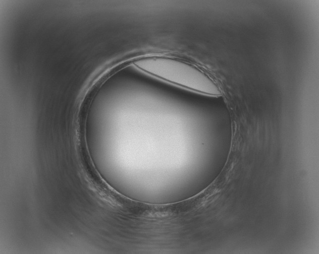 X0000062850247200601130928