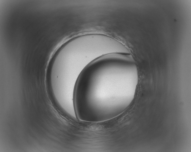 X0000062850248200601130928