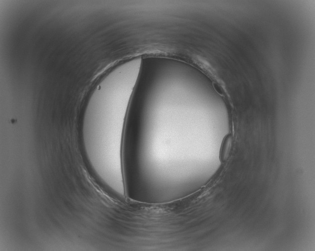 X0000062850249200601130928