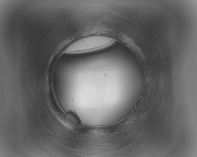 X0000062850250200601130928