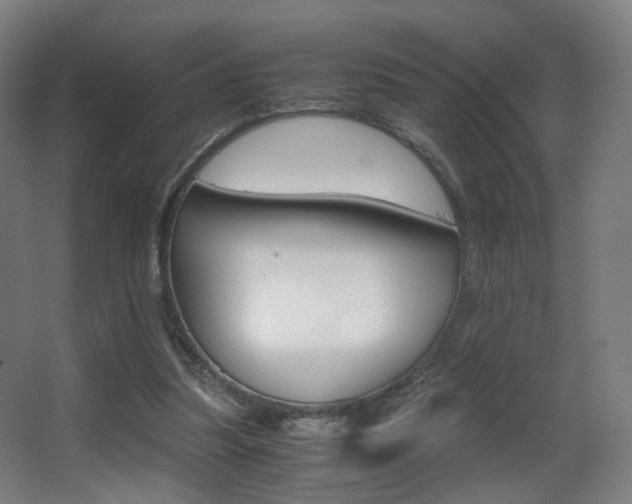 X0000062850251200601130928