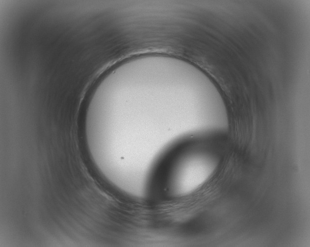 X0000062850252200601130928