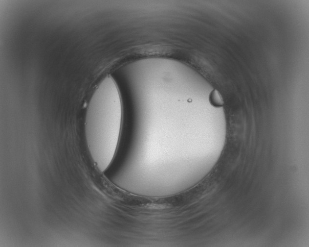 X0000062850255200601130929