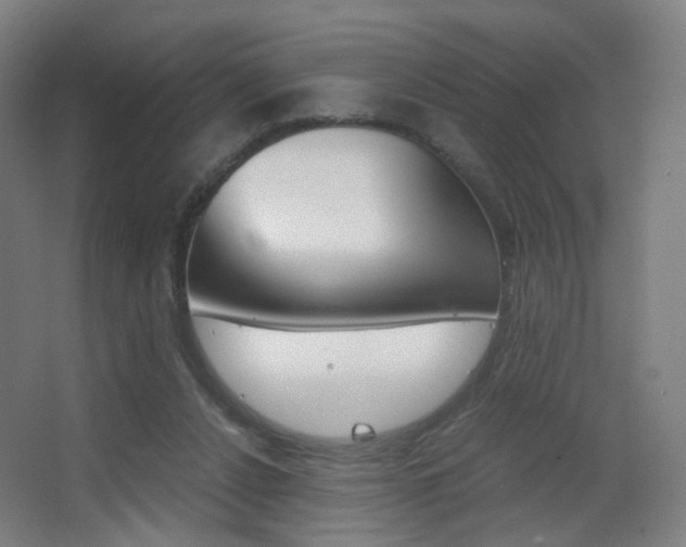 X0000062850256200601130929