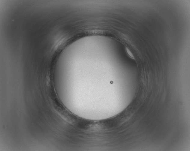 X0000062850259200601130929