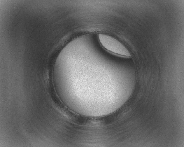 X0000062850260200601130929