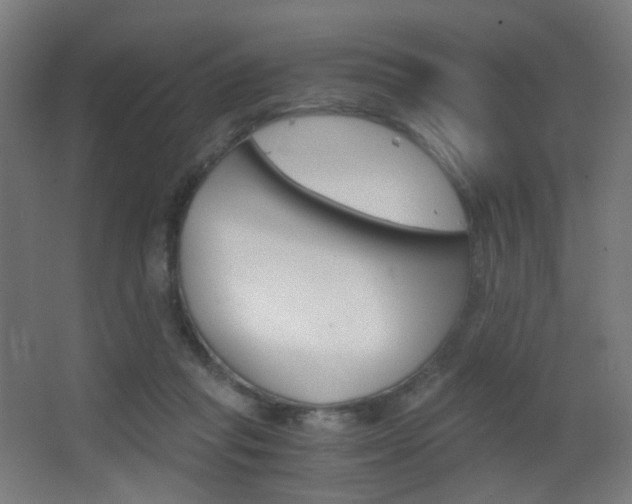 X0000062850261200601130929