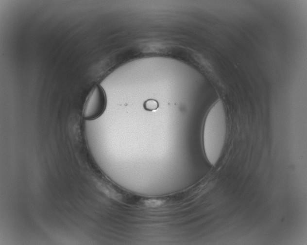 X0000062850265200601130929