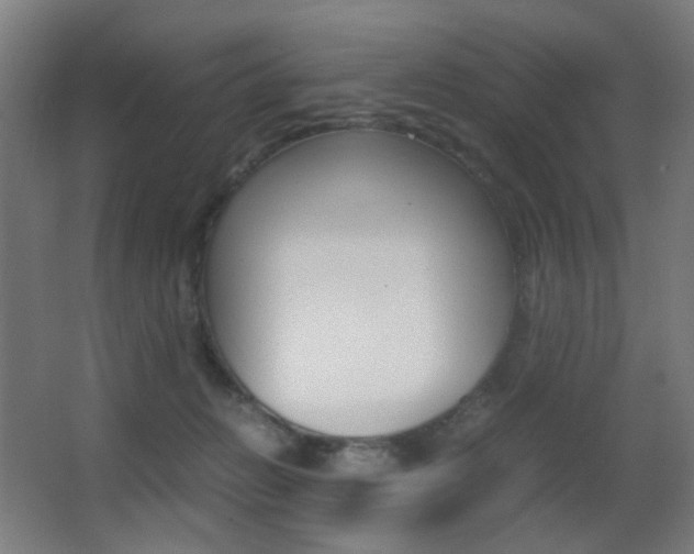 X0000062850270200601130929