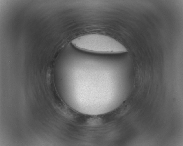 X0000062850271200601130929