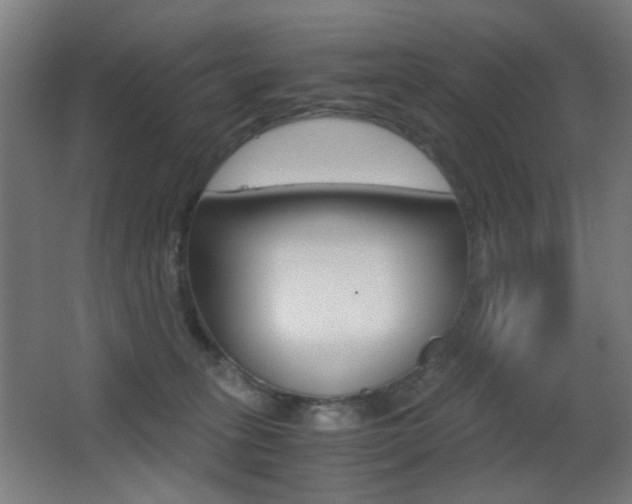 X0000062850275200601130929