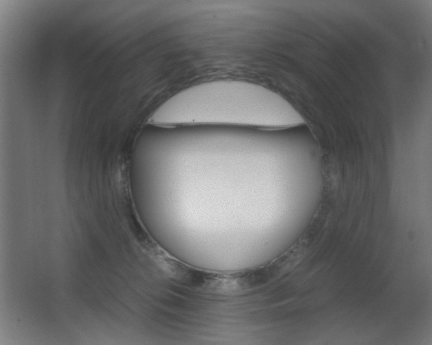 X0000062850276200601130929