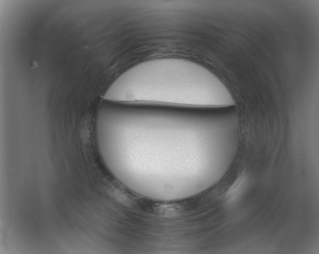 X0000062850277200601130929