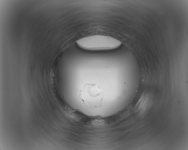 X0000062850279200601130929