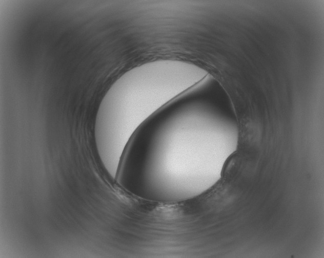 X0000062850280200601130929