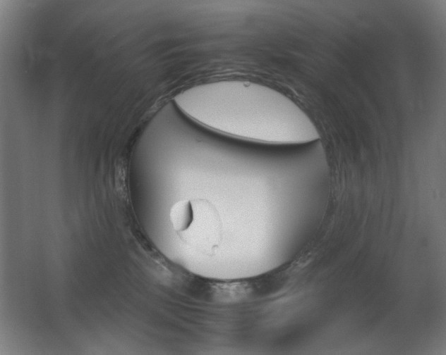 X0000062850281200601130929