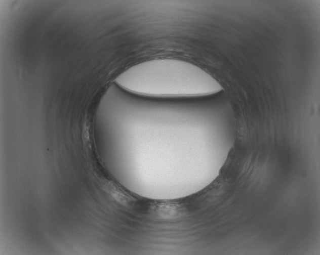 X0000062850282200601130929