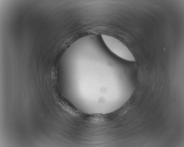 X0000062850284200601130929