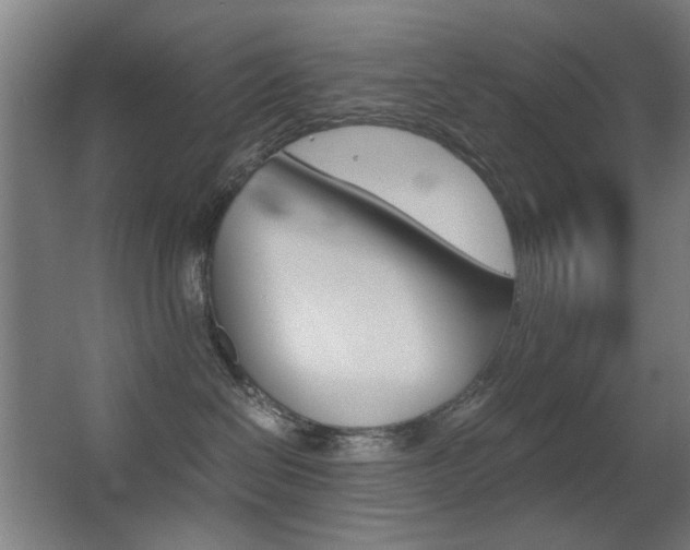 X0000062850286200601130929