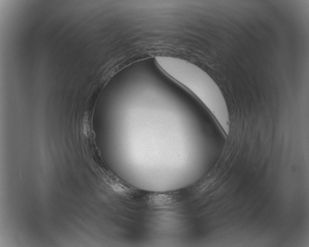 X0000062850287200601130929