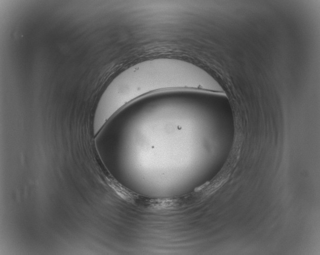 X0000062850288200601130929