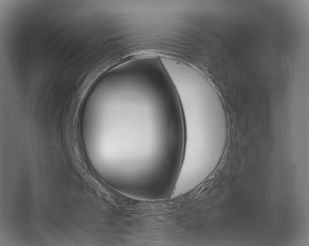 X0000062850289200601130928