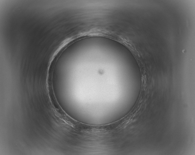 X0000062850292200601130928